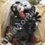 Двигатель SHANGHAI SC8D170G2B1 вид сзади